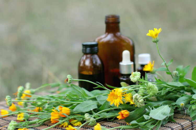 Calendula Tincture Recipe Mother Earth Living